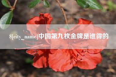 宁夏中国第九枚金牌是谁得的