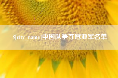 宁夏中国队争夺冠亚军名单