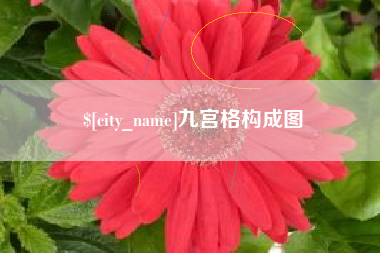 宁夏九宫格构成图