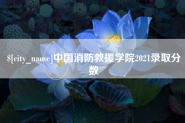 宁夏中国消防救援学院2021录取分数