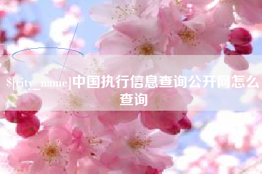 宁夏中国执行信息查询公开网怎么查询