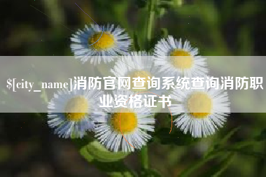 宁夏消防官网查询系统查询消防职业资格证书