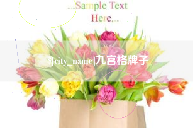 宁夏九宫格牌子