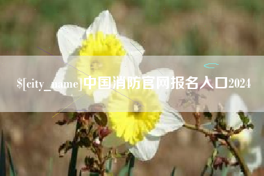 宁夏中国消防官网报名入口2024