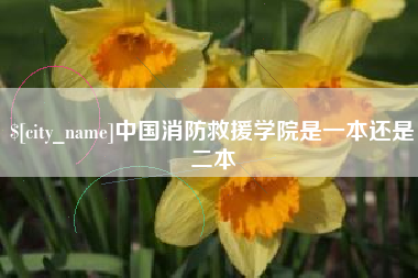 宁夏中国消防救援学院是一本还是二本