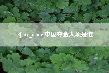 宁夏中国夺金大项是谁
