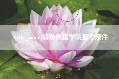 宁夏消防救援学院报考条件