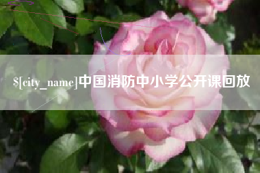 宁夏中国消防中小学公开课回放