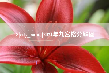 宁夏2021年九宫格分解图