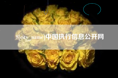 宁夏中国执行信息公开网