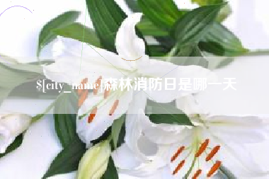 宁夏森林消防日是哪一天