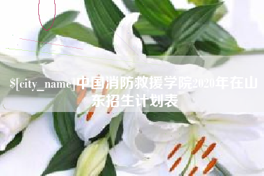 宁夏中国消防救援学院2020年在山东招生计划表