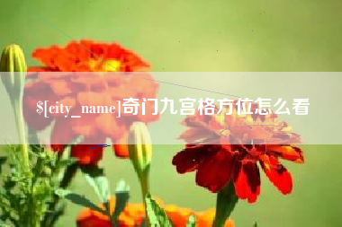 宁夏奇门九宫格方位怎么看