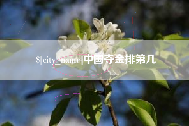 宁夏中国夺金排第几