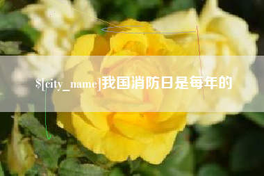 宁夏我国消防日是每年的