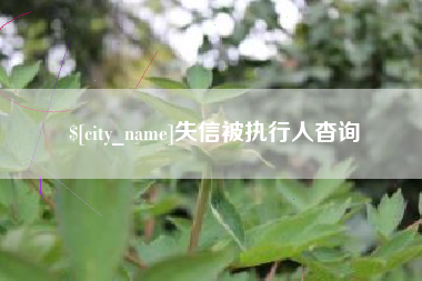 宁夏失信被执行人杳询
