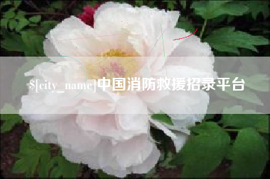 宁夏中国消防救援招录平台