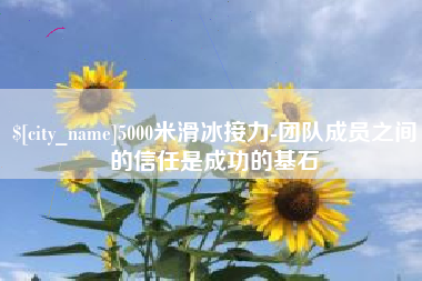 宁夏5000米滑冰接力-团队成员之间的信任是成功的基石