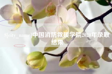 宁夏中国消防救援学院2020年录取结果