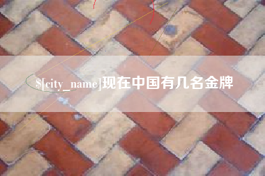 宁夏现在中国有几名金牌