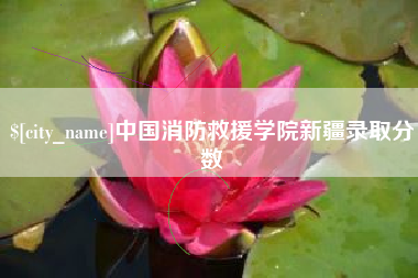 宁夏中国消防救援学院新疆录取分数