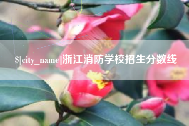 宁夏浙江消防学校招生分数线