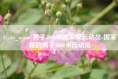 宁夏男子5000米国家级运动员-国家级的男子5000米运动员
