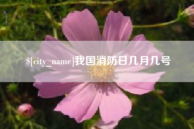 宁夏我国消防日几月几号