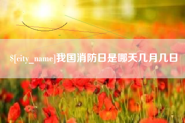 宁夏我国消防日是哪天几月几日