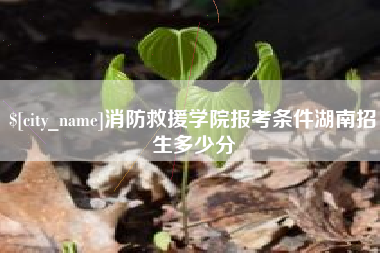 宁夏消防救援学院报考条件湖南招生多少分