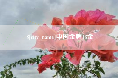 宁夏中国金牌18金