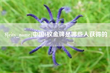 宁夏中国6枚金牌是哪些人获得的
