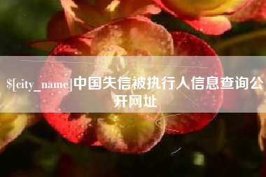 宁夏中国失信被执行人信息查询公开网址