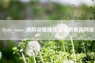 宁夏消防设施操作员证书查询网址