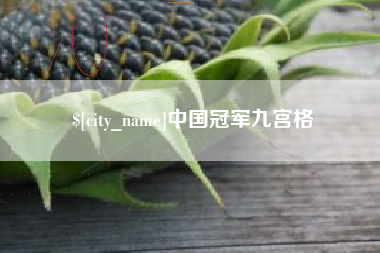 宁夏中国冠军九宫格