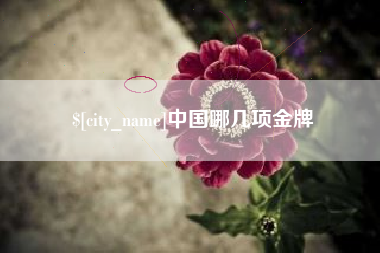 宁夏中国哪几项金牌