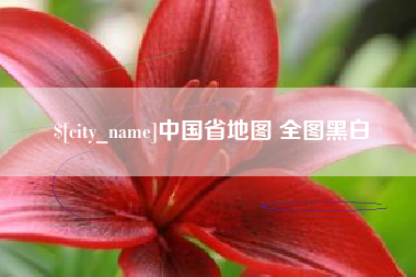 宁夏中国省地图 全图黑白