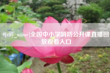 宁夏全国中小学消防公开课直播回放观看入口