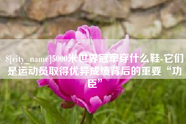 宁夏5000米世界冠军穿什么鞋-它们是运动员取得优异成绩背后的重要“功臣”