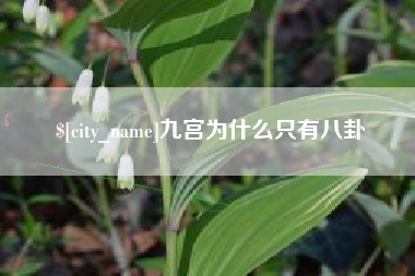 宁夏九宫为什么只有八卦
