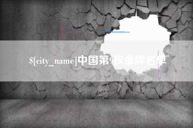 宁夏中国第9枚金牌名单
