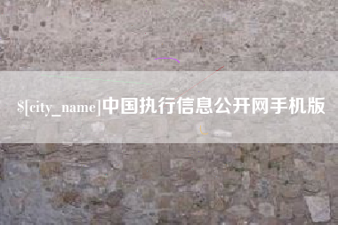 宁夏中国执行信息公开网手机版
