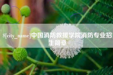 宁夏中国消防救援学院消防专业招生简章