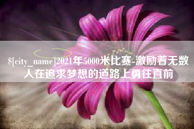宁夏2021年5000米比赛-激励着无数人在追求梦想的道路上勇往直前