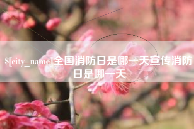 宁夏全国消防日是哪一天宣传消防日是哪一天