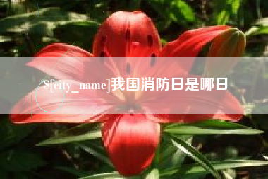 宁夏我国消防日是哪日
