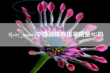 宁夏中国消防救援学院是985吗