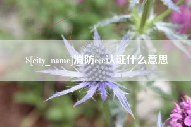 宁夏消防ccc认证什么意思