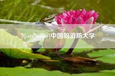 宁夏中国的消防大学