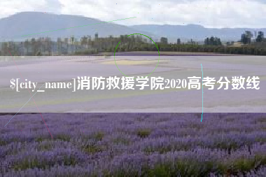 宁夏消防救援学院2020高考分数线